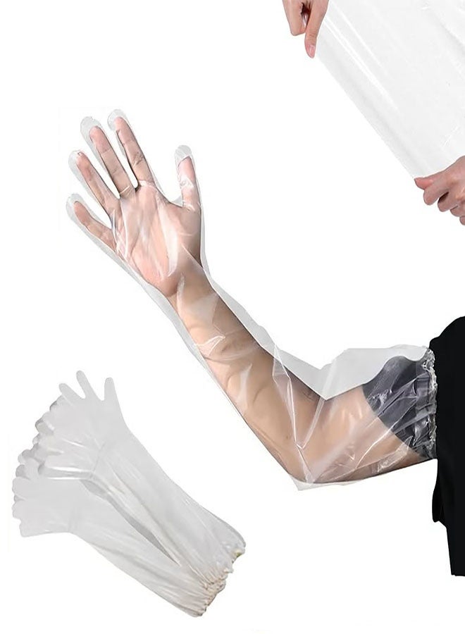 Disposable Waterproof Long Gloves, 40PCS Disposable Long Arm Glove with Elastic Cuff Household Cleaning Gloves Thick for Kitchen Dishwashing Food Handling Vegetable Washing Gloves(Clear) - Image 1