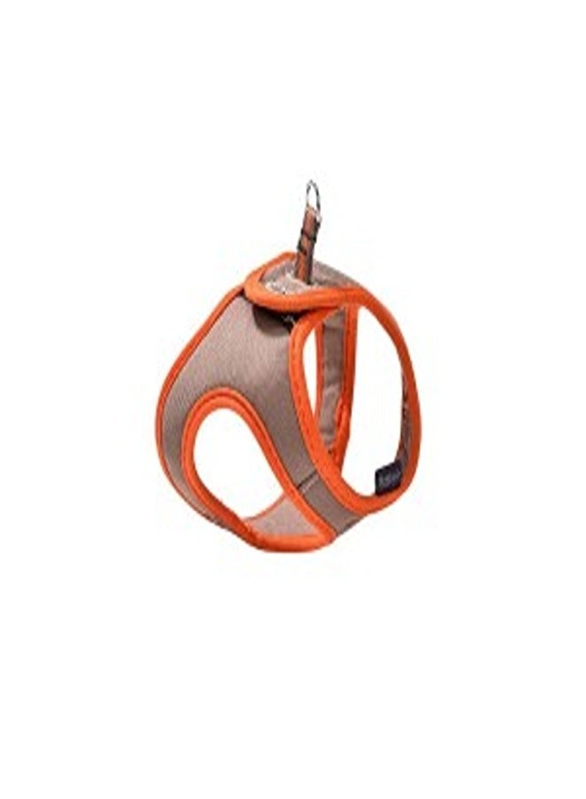 بوبي حزام أرلكوين ميني - بني رمادي / مقاس 2XS