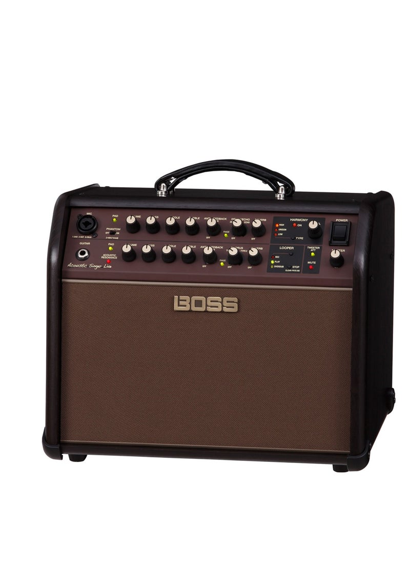 BOSS BOSS ACS Live 60W Combo Amplifier for Acoustic Guitar and Vocals  - Image 2