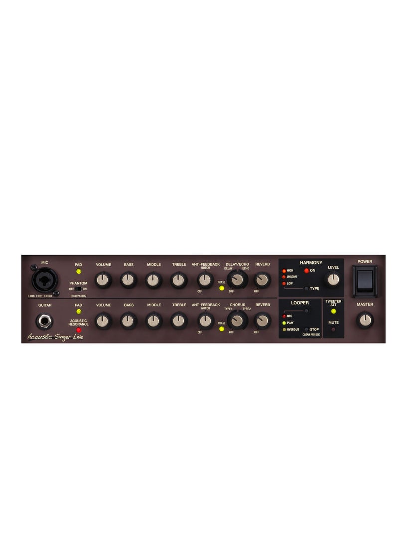BOSS BOSS ACS Live 60W Combo Amplifier for Acoustic Guitar and Vocals  - Image 5