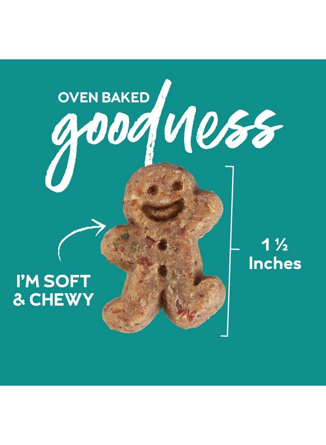 BUDDY BISCUITS Boosters 5 Oz. Pouch Of Hip And Joint Soft Chews Dog Treats Made With Natural Chicken - Image 2