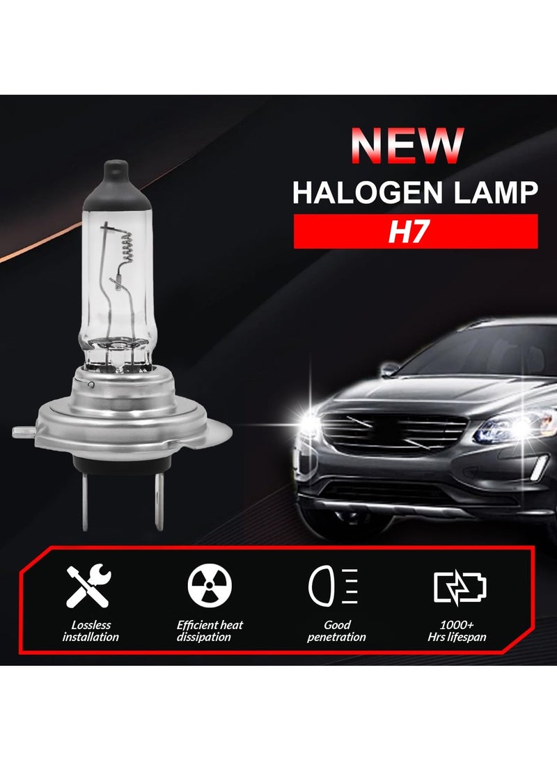 Generic H7 Halogen Headlight Bulb for Enhanced Performance and Durability - Anti-UV Quartz Glass, 24V/70W  - Image 5