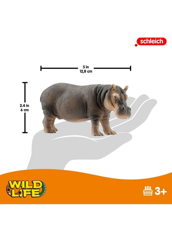 Schleich Wild Life Animal Figurine Animal Toys For Boys And Girls 38 Years Old Hippopotamus Ages 3+  - Image 5