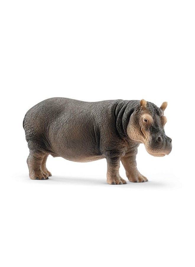 Schleich Wild Life Animal Figurine Animal Toys For Boys And Girls 38 Years Old Hippopotamus Ages 3+  - Image 1