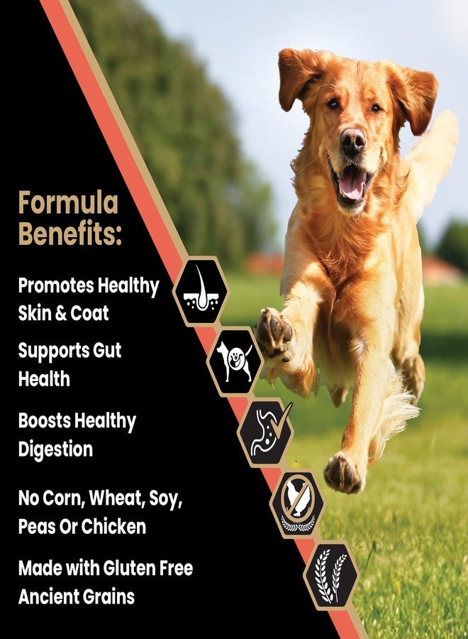 فيكتور طعام الكلاب الفاخر من فيكتور - للبشرة الحساسة والمعدة الحساسة - حبيبات جافة بنكهة سمك السلمون والأرز البني - خالٍ من الغلوتين والدجاج، مثالي للكلاب التي تعاني من الحساسية - طعام للكلاب البالغة والجراء، 5 أرطال - Image 2