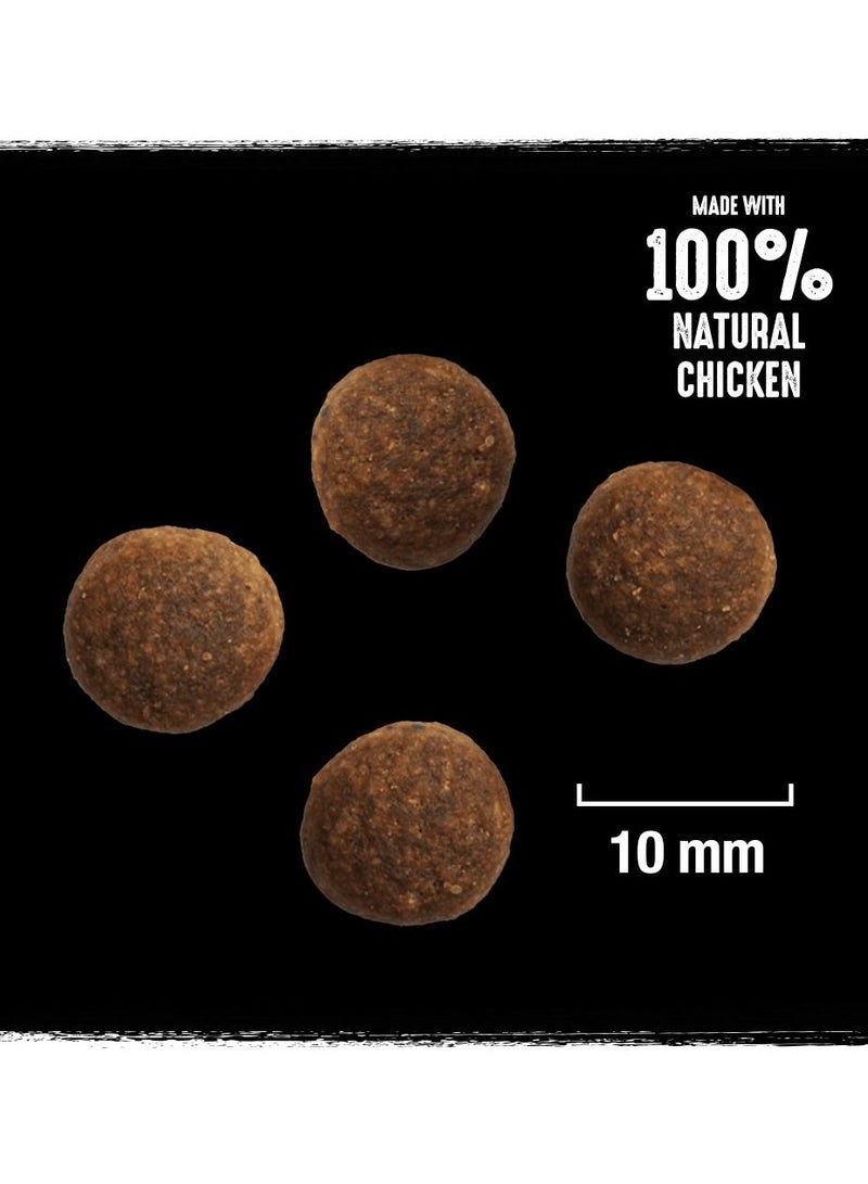 كريف كامل مع طعام تركي ودجاج جاف للكلاب 1 كيلو - Image 2