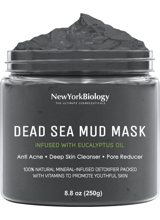 NEW YORK BIOLOGY THE ULTIMATE COSMECEUTICALS - New York Biology Dead Sea Mud Mask For Face And Body Infused With Eucalyptus Spa Quality Pore Reducer For Acne Blackheads And Oily Skin Tightens Skin For A Healthier Complexion 8.8 Oz - Image 1