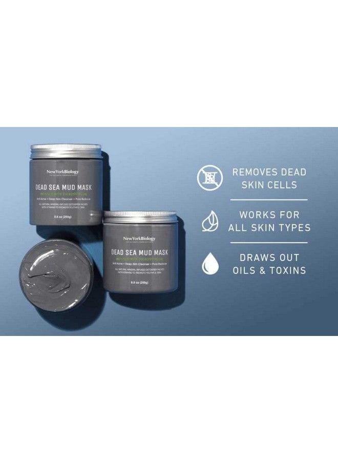NEW YORK BIOLOGY THE ULTIMATE COSMECEUTICALS - New York Biology Dead Sea Mud Mask For Face And Body Infused With Eucalyptus Spa Quality Pore Reducer For Acne Blackheads And Oily Skin Tightens Skin For A Healthier Complexion 8.8 Oz - Image 1