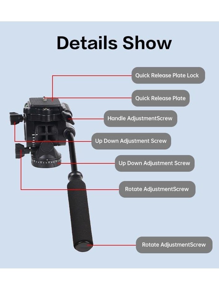 Jmary KT285+NB50 2-in-1 Tripod with Hydraulic Head - Image 4