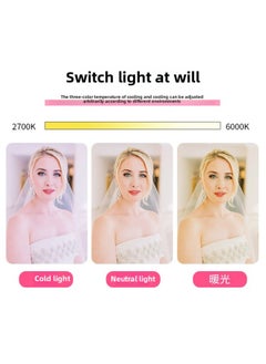 General Direct Live Light 10 Inch Led Ring Light Anchor Mobile Phone Bracket Beauty Fill Light Floor Bracket-Light Source Color:10 Inch +0.5 M Lamp Stand  - Image 5