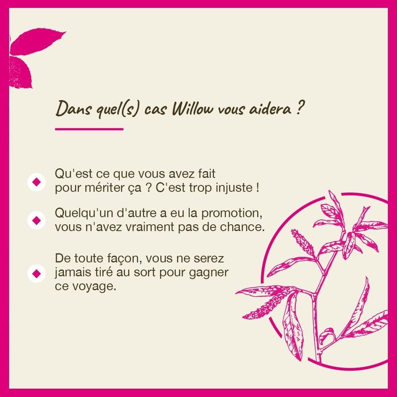 Bach Original Flower Remedy Dropper Willow Flower Essence 20 ml Multi - Image 4