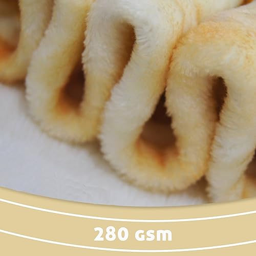 moonysweet Pizza Blanket for Adult and Kids Novelty Food Adult Size Funny Realistic Throw Fuzzy Fleece Flannel Teens Boys and Girls 60 inches - Image 5
