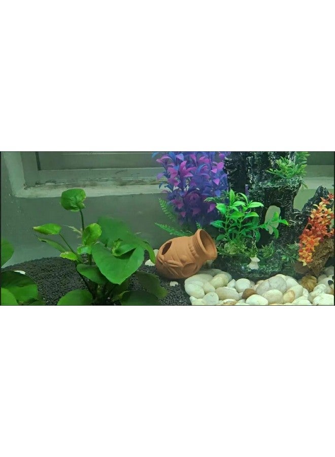 OrgMemory Ceramic Shelters, 2 pcs, Fish Tank Accessories, Fish House, Swim Holes Aquatic, Aquarium Cave for Freshwater and Saltwater Fish Tank, Pets to Breed, Play and Rest Decor (Pot) - Image 5