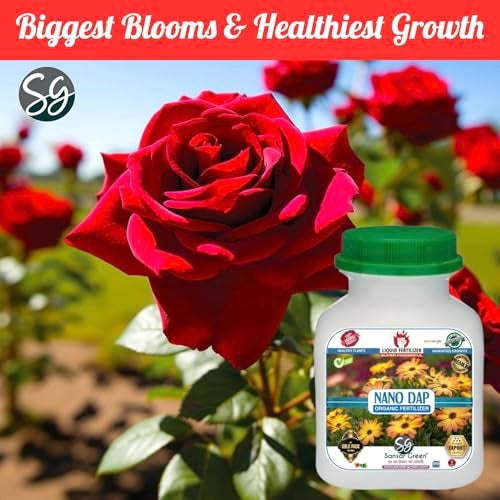 Sansar Green® Nano DAP Organic Liquid Fertilizer for overall Growth of Plants. (500 ml) - Image 3