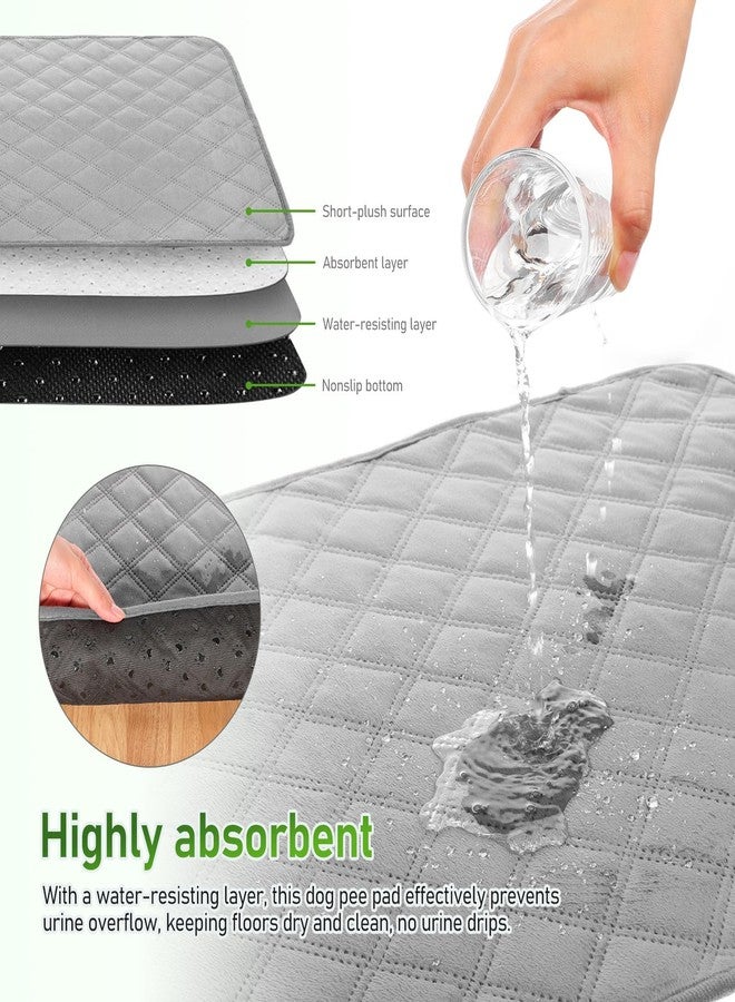 بارتي كينج دوم وسادات تدريب الكلاب القابلة للغسل من بارتي كينجدوم، عبوة من قطعتين، قابلة لإعادة الاستخدام، ماصة، مزودة بقاعدة مانعة للانزلاق وسطح مخملي ناعم قصير، للاستخدام في المنزل والسيارة، لون رمادي، 23.6 × 17.7 بوصة - Image 4