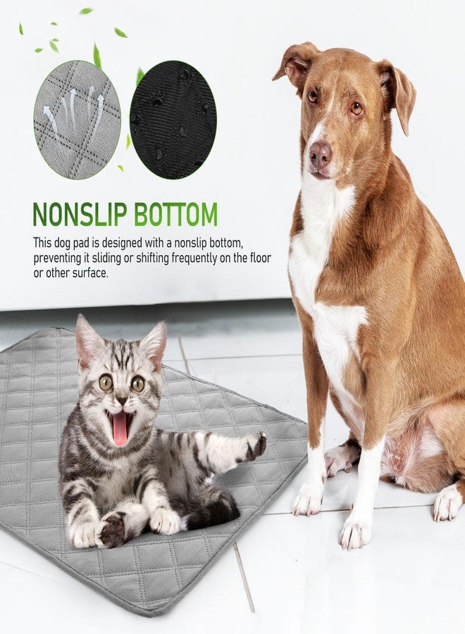 بارتي كينج دوم وسادات تدريب الكلاب القابلة للغسل من بارتي كينجدوم، عبوة من قطعتين، قابلة لإعادة الاستخدام، ماصة، مزودة بقاعدة مانعة للانزلاق وسطح مخملي ناعم قصير، للاستخدام في المنزل والسيارة، لون رمادي، 23.6 × 17.7 بوصة - Image 5