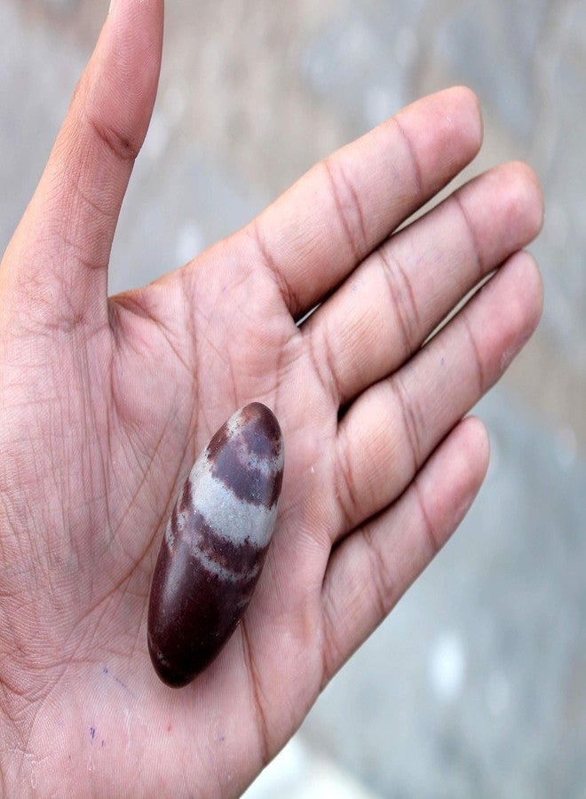 KLEO eSplanade Narmada Stone Narmadeshwar Shiv Ling, Shiva Lingam, Indian Idols & Statues (2" Inch Medium Size) - Image 3