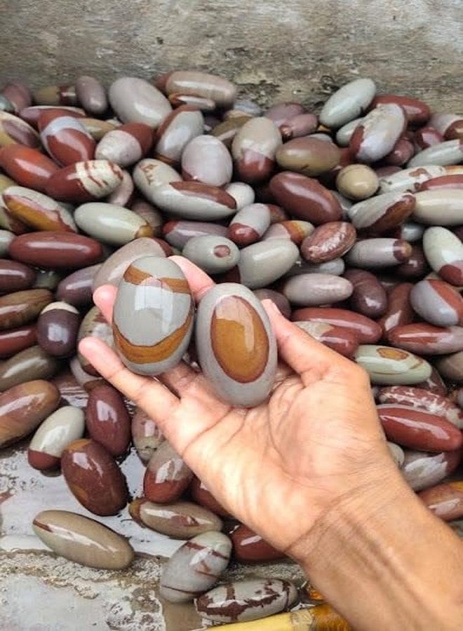 KLEO eSplanade Narmada Stone Narmadeshwar Shiv Ling, Shiva Lingam, Indian Idols & Statues (2" Inch Medium Size) - Image 4