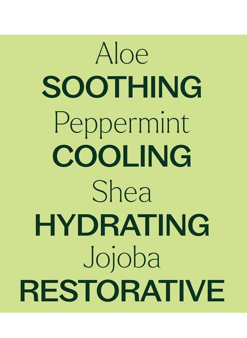 Plant Therapy - Plant Therapy Peppermint Body Lotion with Aloe and Shea, Hydrate and Nourish Skin with Botanical Ingredients, 8 oz - Image 1