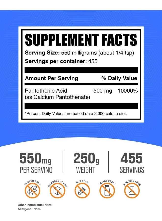 BulkSupplements Vitamin B5 Powder for Adults - 250g - Image 2