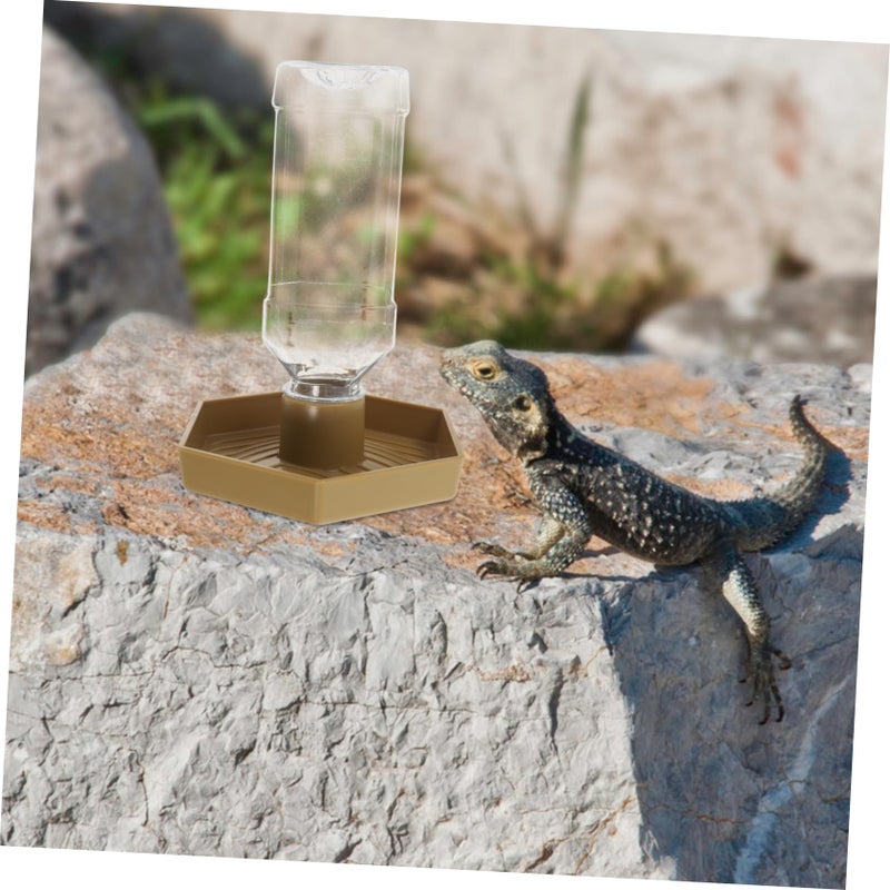 طبق مياه الزواحف التلقائي، وحدة التغذية الزاوية من الدرجة الغذائية، وعاء الشرب للسلاحف والسحالي - Image 5