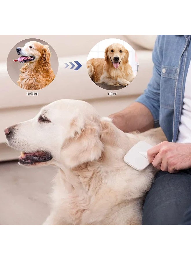 Mumoo Bear Popular Cat And Dog Hair Removal Brush - Image 5