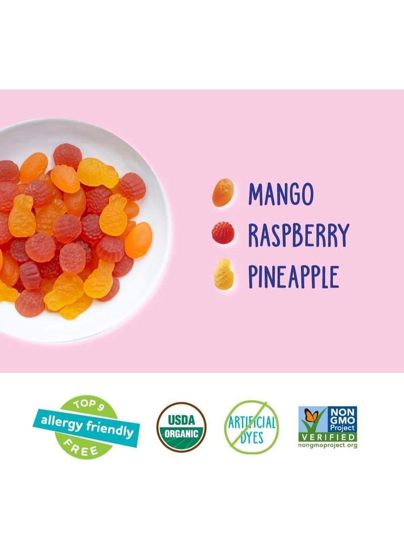 YumEarth GLUTEN-FREE TROPICAL FRUIT SNACKS 10 PACKS 198G  - Image 3