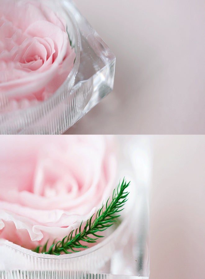 Preserved Real Rose Flower in Clear Box Eternal Rose Scented Forever Rose Flower Present for Women Gifts Mother's Day Valentine Romantic Wedding Home Party Festivals Anniversary Christmas Eve - Image 3
