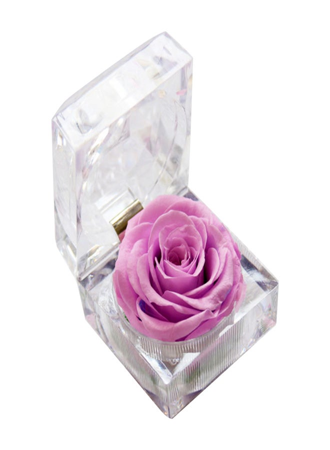 Preserved Real Rose Flower in Clear Box Eternal Rose Scented Forever Rose Flower Present for Women Gifts Mother's Day Valentine Romantic Wedding Home Party Festivals Anniversary Christmas Eve - Image 1