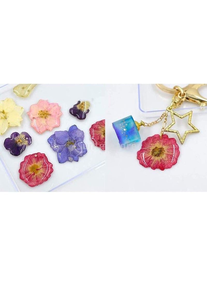 SYOSI Dried Flowers Pressed Natural Colorful Pressed Flowers Daisies Assorted Dried Flowers Leaves Petals Floral Decors DIY Crafts, for Resin epoxy Silicone Mold Production  - Image 5