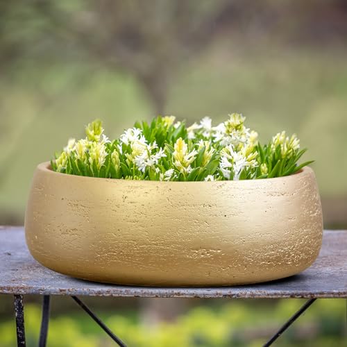 Olly & Rose Large Ceramic Planter Bowl Shallow Plant Pot - Gold Flower Pot Indoor and Outdoor Decorative Bowl Garden and Home Décor - Image 4