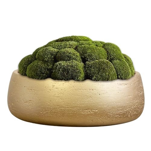 Olly & Rose Large Ceramic Planter Bowl Shallow Plant Pot - Gold Flower Pot Indoor and Outdoor Decorative Bowl Garden and Home Décor - Image 5