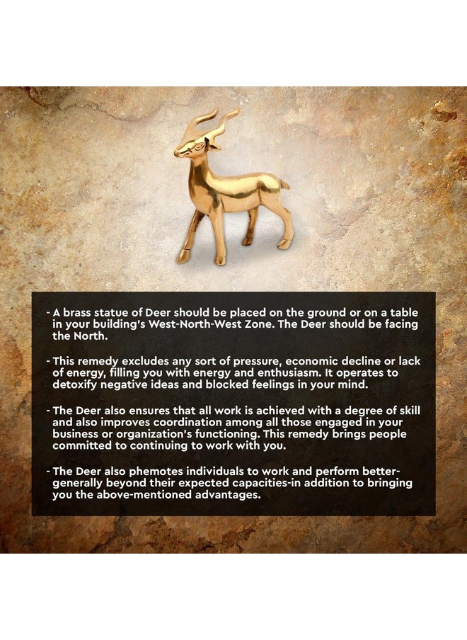 TREEMAISON TREEMAISON Vastu Brass Small Deer Statue for Home/Office Décor  - Image 4