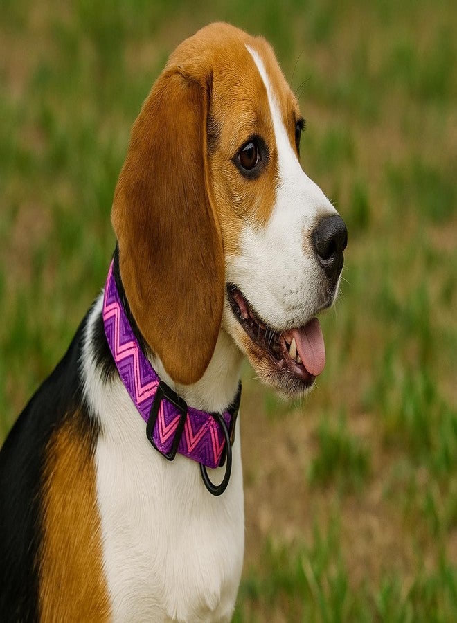 Hamilton Adjustable Nylon Dog Collar, Purple Triangle Ribbon Overlay, Medium/Large - Image 5