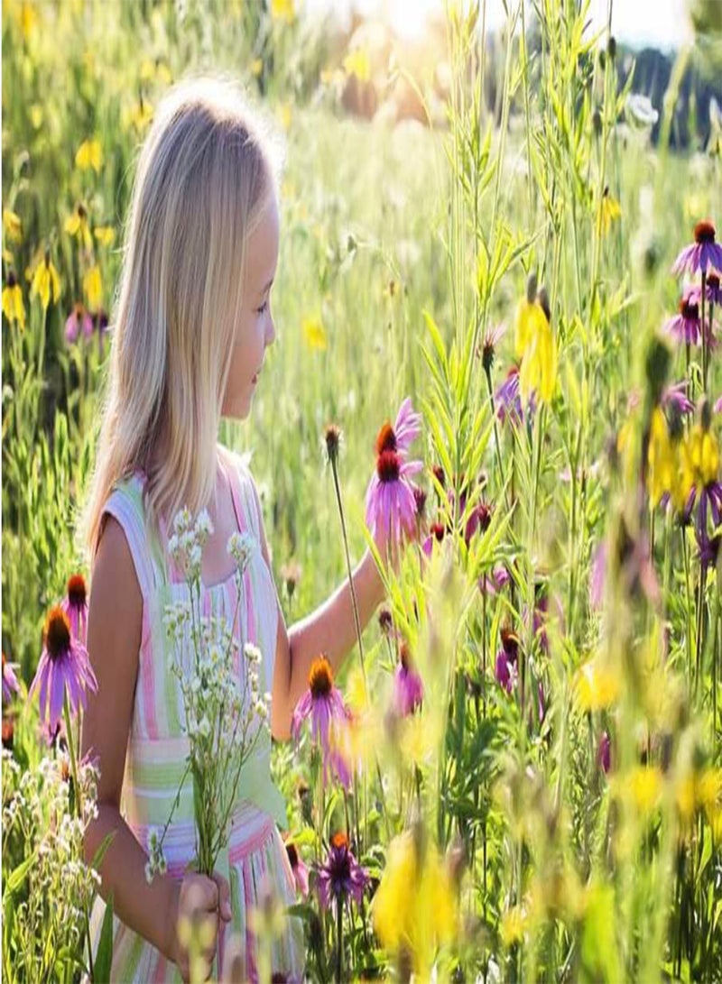GGOOT Kids Gardening Set, Garden Set for Kids, Grow Your own kit for Children, Seed Kits for Children, Save The Bees kit, Childrens Gardening Set, Kids Activity Pack Wildflower Seeds Sun - Image 5