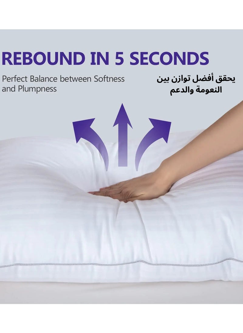 F.A.M.S - Luxury Hotel Pillow | 1500 Gram | 100% Striped Cotton | 70 x 50 | Hotel Collection Bed Pillows Set of 2 - Microfiber Cloud Hotel Pillow - Image 1