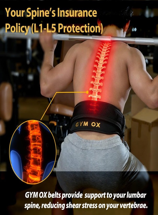 GYM OX حزام رفع أثقال 2 في 1 للرجال وحزام تمارين الغطس، حزام رفع الأثقال، حزام صالة الألعاب الرياضية للرجال، حزام أثقال، حزام سحب أثقال (أسود، متوسط) - Image 5