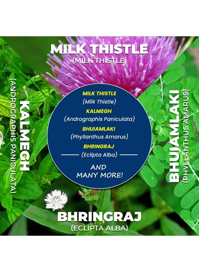 AYURVEDASHREE مكمل عشبي لدعم الكبد - ديتوكس وتجديد - يدعم صحة الكبد - مزيج من 13 عشبة قوية - نباتي - خالي من الغلوتين - معتمد من وزارة الزراعة الأمريكية - 60 قرصًا - Image 4