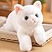 SNOWOLF Cat Stuffed Animals Weighted Plush Toy 197 Realistic White Cat Plushie Kawaii Toys Soft Ginger Cat Kitten Doll Gift for Boys Girls Birthday Christmas 11 LBs - Image 2