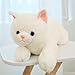 SNOWOLF Cat Stuffed Animals Weighted Plush Toy 197 Realistic White Cat Plushie Kawaii Toys Soft Ginger Cat Kitten Doll Gift for Boys Girls Birthday Christmas 11 LBs - Image 4