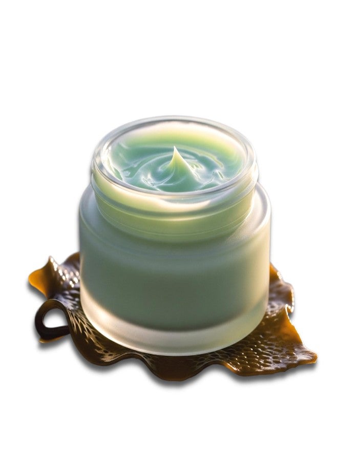 Kelpatch Seaweed Bioferment Facial Day Cream, Anti-Aging, Vitamin-Rich & Lightweight Hydration | Microbiome-Supporting, Science-Backed Formula for Radiant Skin | Made in NYC - Image 1
