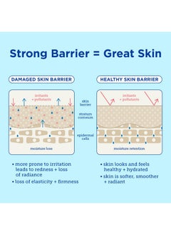 Skinfix Barrier+ Foaming Clay Cleanser Claytofoam Facial Cleanser To Help Detox Cleanse & Reduce Excess Oil 5 Oz  - Image 5