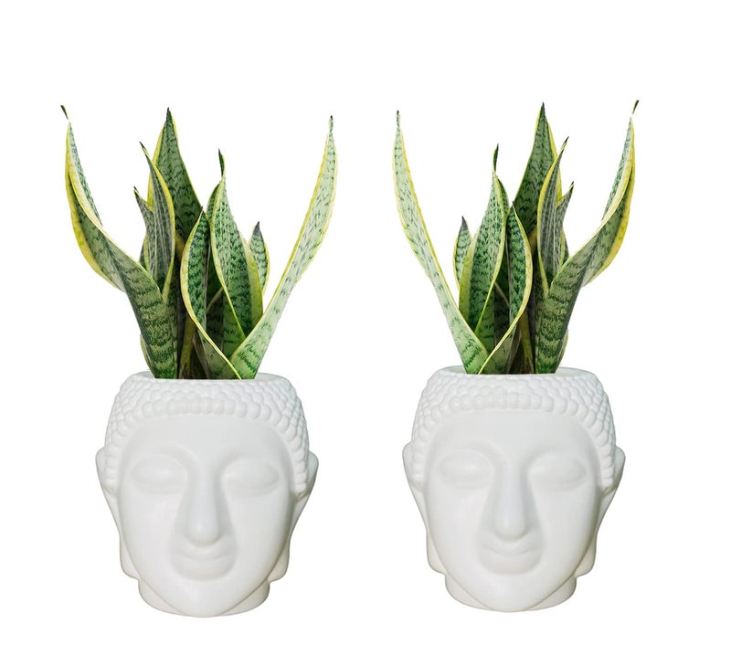 Go Hooked Buddha Pot Plastic White Flower Pot/Plant Pots for Home Decor, Washroom and Office Decor (Set of 2) - Image 1