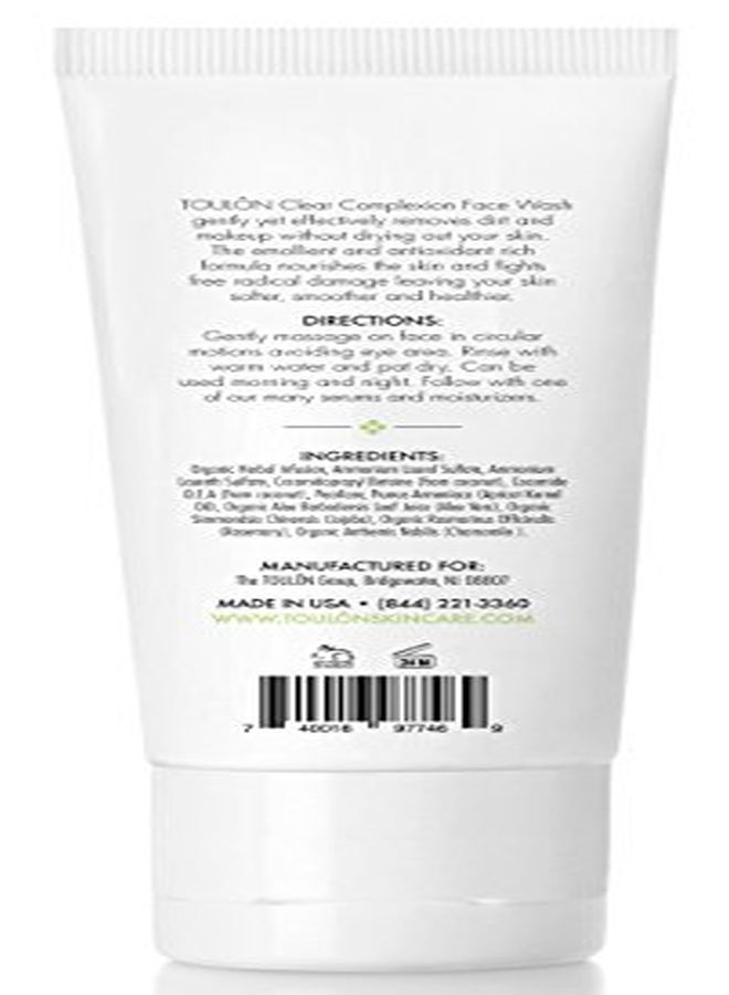 TOULON Aloe Vera Face Wash Anti Aging Face Cleanser For Oily Skin & AcneFree Clear Complexion. Antioxidant Facial Cleanser For Women And Men - Image 3