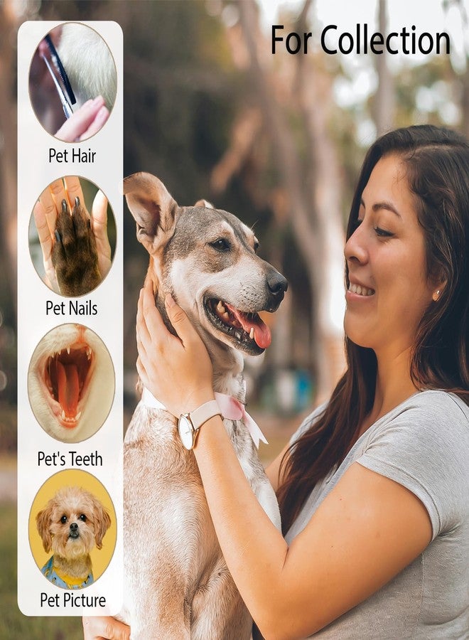 Pet Hair Keychain 4PCS - Pet Fur Keepsake Memorial Paw Keychain Leather Cat Fur Keepsake with Cat Paw Data Cable Tie Memorial Gifts for Collar Bag Purse Paw Charm Key Holder - Image 2
