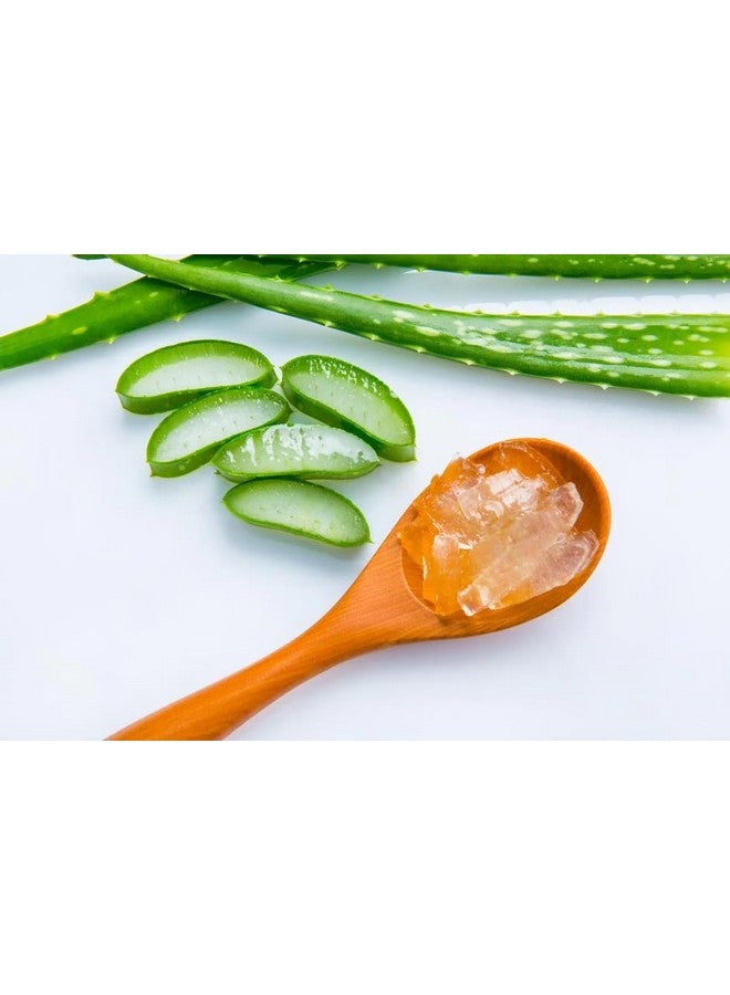 Heilen Biopharm Heilen Biopharm Aloe Vera Leaf Powder For Health Improvement - 400 g Pack of 1  - Image 5
