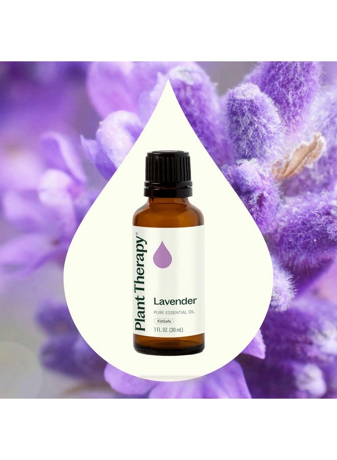 Plant Therapy Lavender Essential Oil 100% Pure, Undiluted, Natural Aromatherapy, Therapeutic Grade 30 mL (1 oz) - Image 3