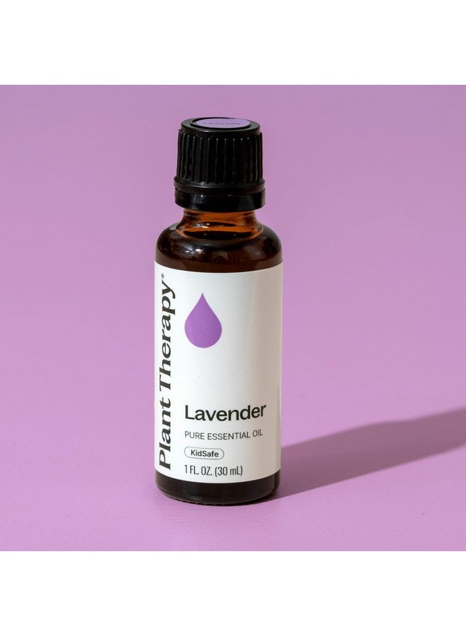 Plant Therapy Lavender Essential Oil 100% Pure, Undiluted, Natural Aromatherapy, Therapeutic Grade 30 mL (1 oz) - Image 5