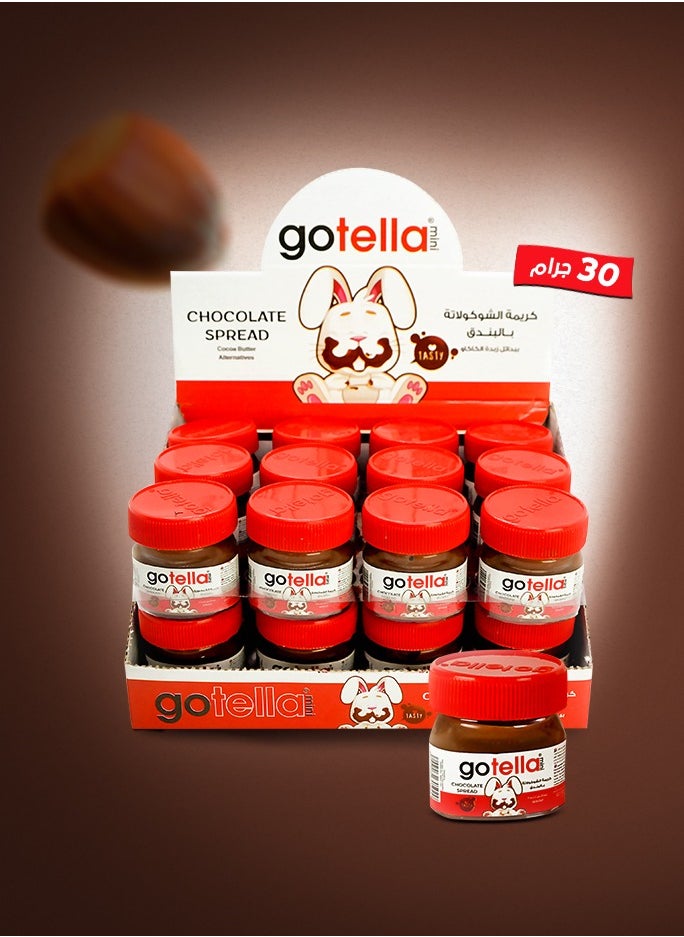 gotella Mini Chocolate Spread With Hazelnut 30 gm pack 24 pieces - pzsku/Z6720F36ACB57480F165BZ/45/_/1736600346/f9ff9a13-15ec-4d6a-ac73-46300563a8cb