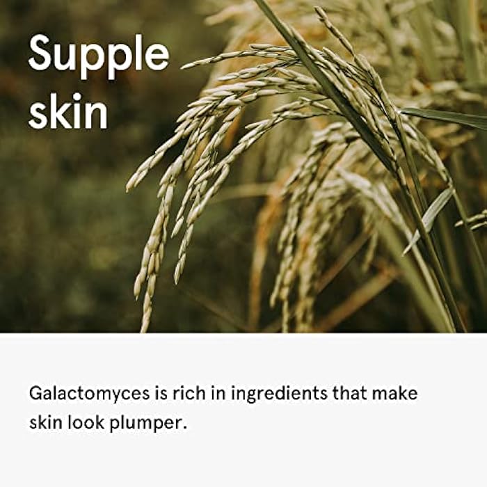 ONE THING Galactomyces Ferment Filtrate Toner 5.07 Fl Oz | Hydrating Facial Daily Essence for Clear Transparent Glowy Smooth Plump Radiant Skin, Brightening Soothing Dull Tone | Korean Skin Care - Image 4